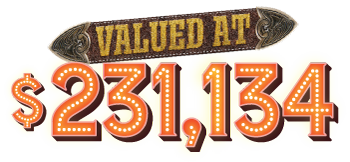 valued at $231,134