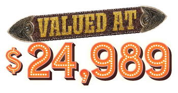valued at $24,989